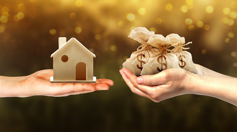 1537864105692768.jpg t014a9fe56cdf1db815.jpg