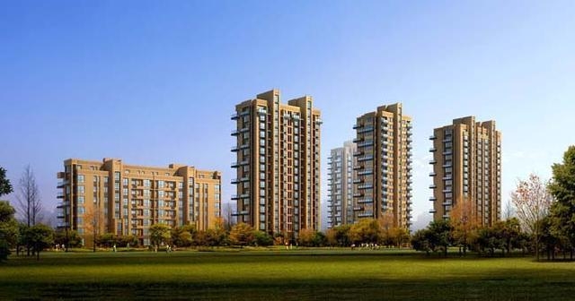 1539163817126276.jpg 145881094.jpg