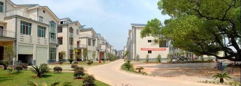 1574247822690832.jpg 微信圖片_20191120134042.jpg