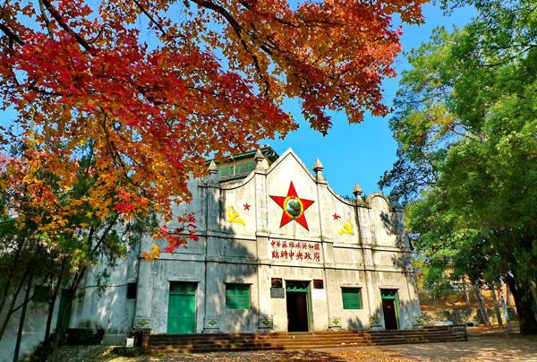 1596355572911327.jpg timg.jpg